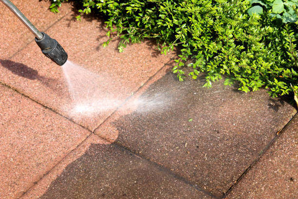 Best Pressure Washing Company Near Me  in Yarrow Point, WA